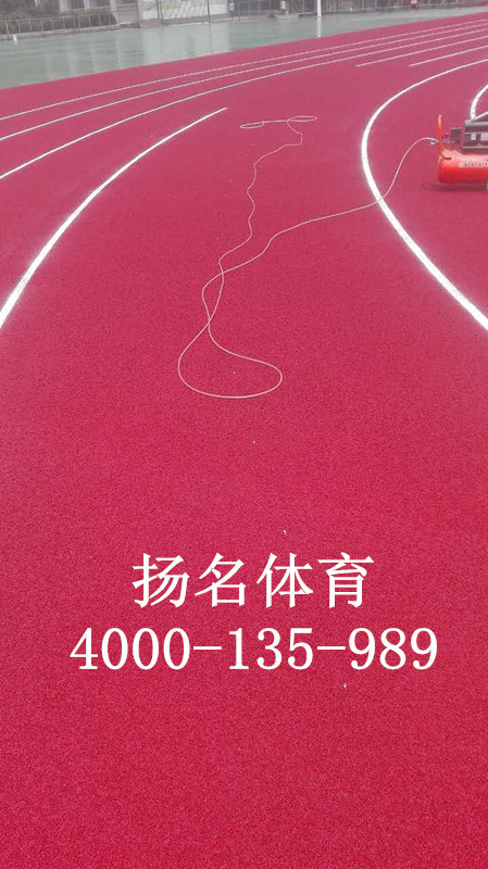 江西抚州实验中学塑胶跑道完工图片